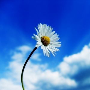 Meet your Posher, Quizzina